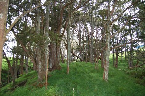 Photo of property in 210g Pukenui Road, Kaiwaka, 0573