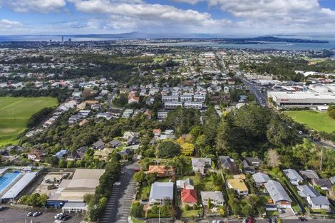 Photo of property in 3 John Court Street, Birkenhead, Auckland, 0626