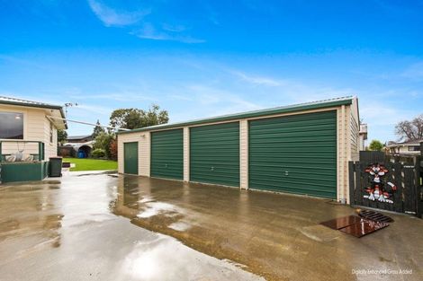 Photo of property in 22 Shelton Place, Feilding, 4702