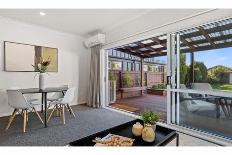 Photo of property in 41 Winton Street, St Albans, Christchurch, 8014