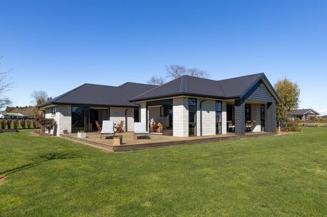 Photo of property in 41 Catalyst Avenue, Leamington, Cambridge, 3432