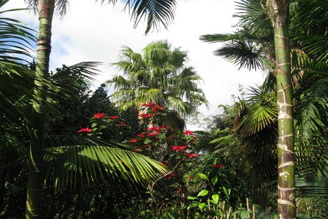 Photo of property in 82 Waterfront Drive, Mangonui, 0420