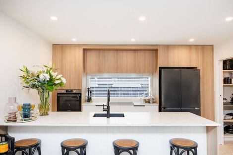 Photo of property in 15 Samuel Place, Terrace End, Palmerston North, 4410