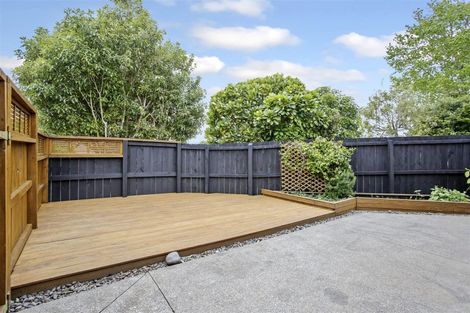 Photo of property in 24 Sapling Drive, Pukekohe, 2120