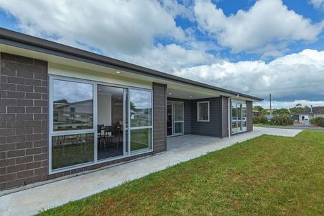 Photo of property in 13 Ingham Street, Halcombe, 4779