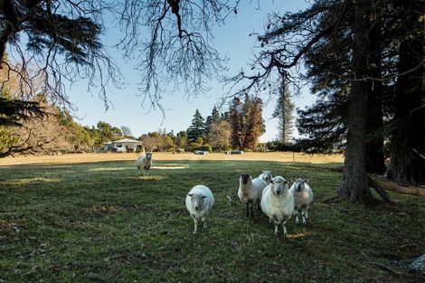 Photo of property in 915 Blackburn Road, Ongaonga, 4278