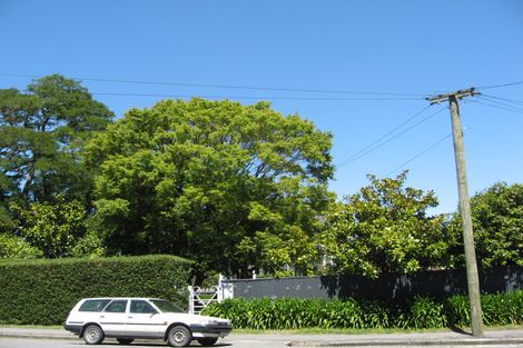 Photo of property in 19 Naseby Street, Merivale, Christchurch, 8014