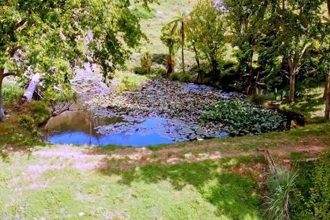 Photo of property in 822 Motukawa Road, Tarata, Inglewood, 4387