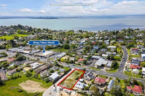 Photo of property in 83 Godley Road, Green Bay, Auckland, 0604