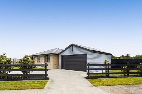 Photo of property in 20 Papawhero Drive, Bell Block, New Plymouth, 4312