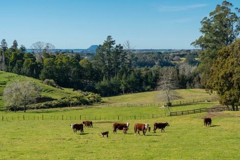 Photo of property in 353 Lockington Road, Aongatete, Katikati, 3181