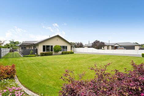 Photo of property in 21 Chamberlain Road, Masterton, 5888