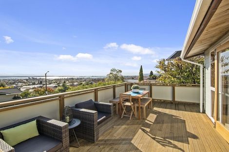 Photo of property in 45 Marlborough Crescent, Richmond, 7020