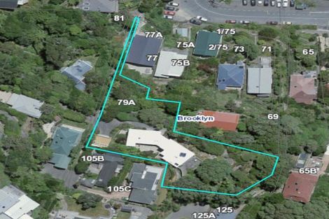 Photo of property in 79a Todman Street, Brooklyn, Wellington, 6021