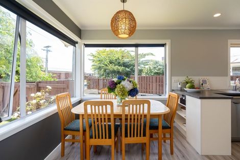 Photo of property in 21 Larnach Street, St Andrews, Hamilton, 3200