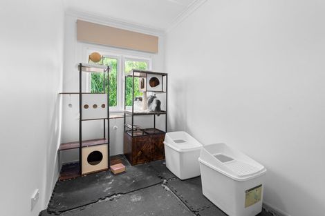 Photo of property in 46 Allandale Road, Kew, Dunedin, 9012