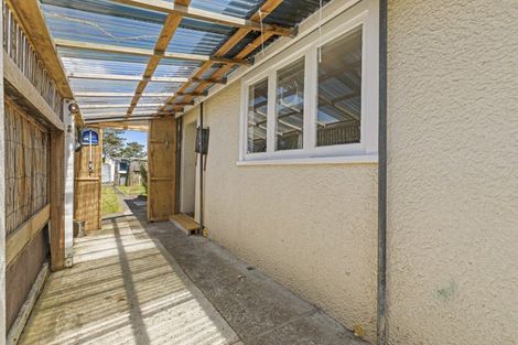 Photo of property in 49 Punga Street, Tangimoana, 4822