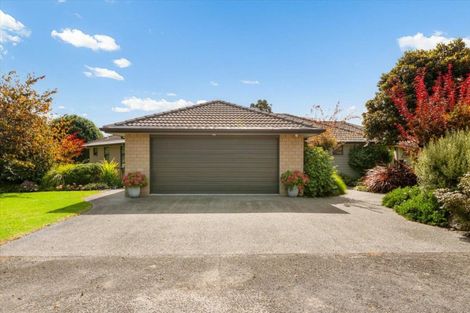 Photo of property in 31 No 1 Road, Te Puke, 3119