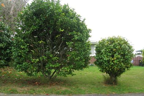 Photo of property in 26 Tararua Terrace, Cloverlea, Palmerston North, 4412