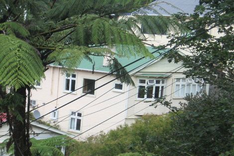 Photo of property in 29 Asquith Terrace, Brooklyn, Wellington, 6021