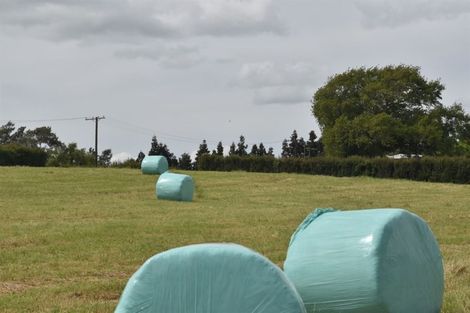 Photo of property in 11 Narrows Road, Rukuhia, Hamilton, 3282