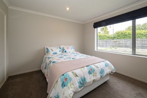 Photo of property in 14 Trent Place, Huntingdon, Ashburton, 7774