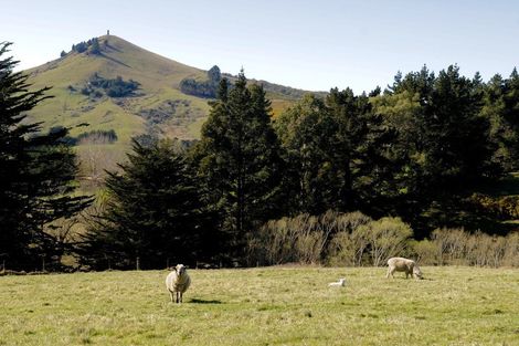 Photo of property in 44 Ronaldsay Street, Palmerston, 9430