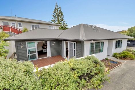 Photo of property in 604a Ferguson Street, Terrace End, Palmerston North, 4410