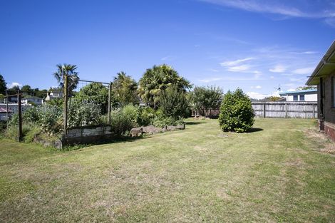Photo of property in 8 Tee Street, Putaruru, 3411