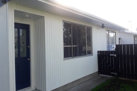 Photo of property in 1029b Konini Street, Mahora, Hastings, 4120