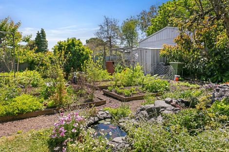 Photo of property in 41 Mill Road, Te Hapara, Gisborne, 4010