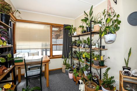 Photo of property in 9 Kennedy Street, Geraldine, 7930