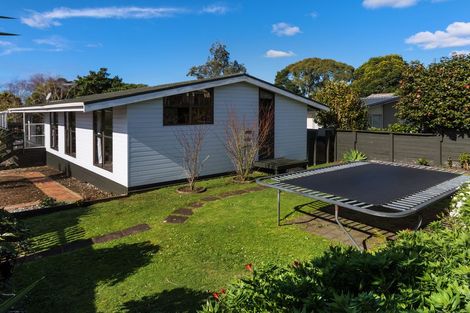 Photo of property in 168 Wellington Street, Pukekohe, 2120