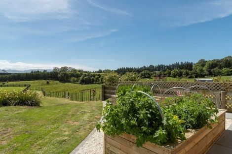 Photo of property in 43 Stewart Road, Whakamarama, Katikati, 3181