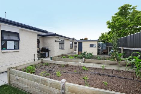 Photo of property in 528 Wall Road, Raureka, Hastings, 4120