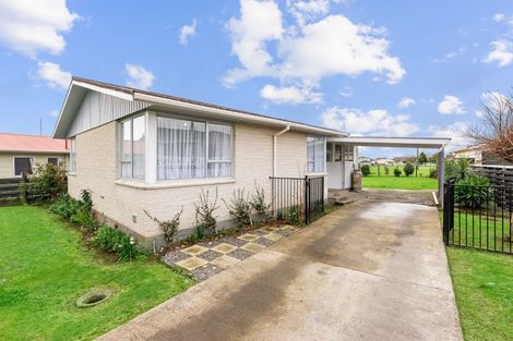Photo of property in 14 Grenville Street, Levin, 5510
