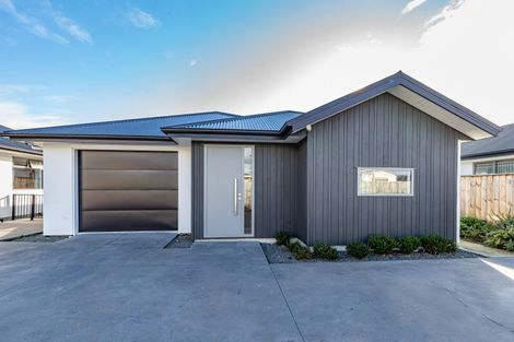 Photo of property in 19a Trafalgar Street, Levin, 5510