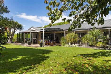 Photo of property in 61 Whitehead Avenue, Te Puke, 3183