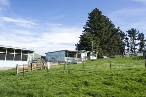 Photo of property in 42 Falcon Street, Palmerston, 9430