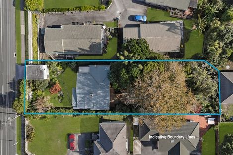 Photo of property in 117 Hutchinson Avenue, New Lynn, Auckland, 0600
