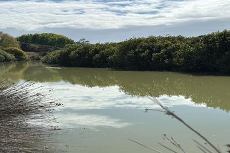 Photo of property in 85b Te Pahi River Drive, Paparoa, Maungaturoto, 0583