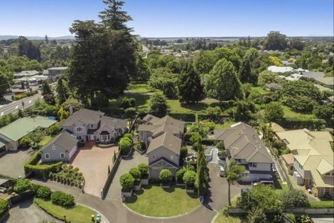 Photo of property in 14 Kenmure Place, Bethlehem, Tauranga, 3110