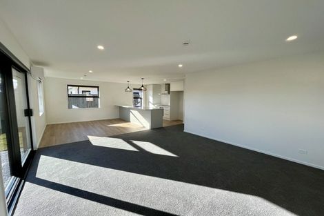 Photo of property in 14 Larch Drive, Rolleston, 7614