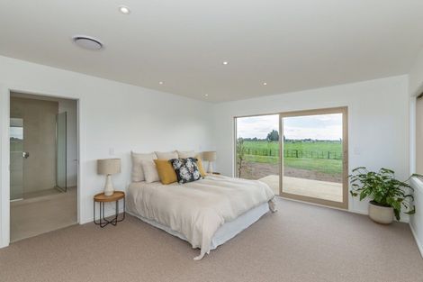 Photo of property in 435 Tararua Road, Levin, 5571