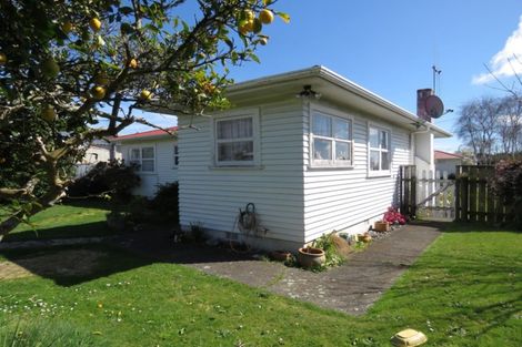 Photo of property in 30 Cobham Street, Levin, 5510
