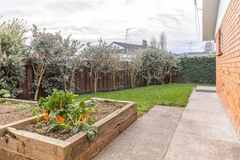 Photo of property in 2/203 Galloway Street, Hamilton East, Hamilton, 3216