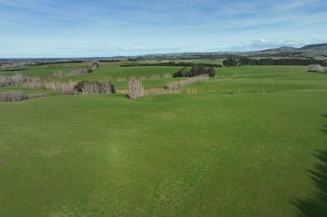 Photo of property in 41 Gray Road, Waitepeka, Balclutha, 9271
