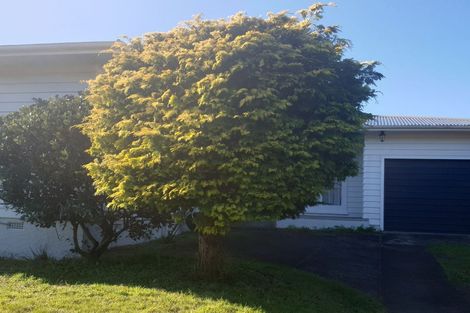 Photo of property in 39 Redwood Avenue, Tawa, Wellington, 5028