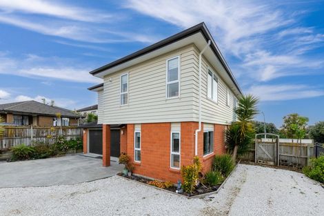 Photo of property in 57 Pitt Avenue, Clendon Park, Auckland, 2103