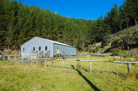 Photo of property in 1247 Wharekopae Road, Ngatapa, Gisborne, 4072